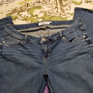 Torrid Denim